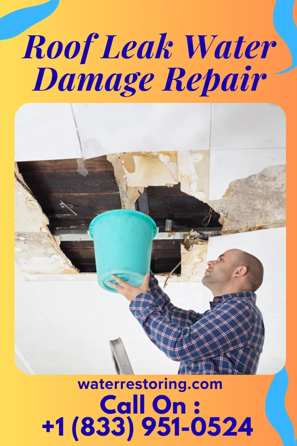 Roof Leak Water Damage Repair in Cheval, FL